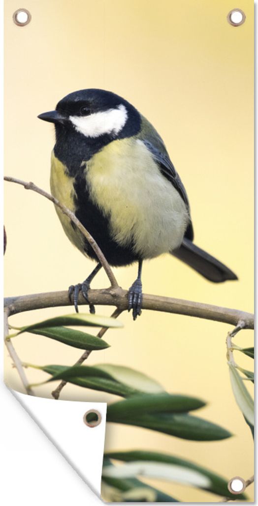 MuchoWow 40x80 cm Outdoor-Poster Gartendeko Sichtschutz Garten Poster für den Garten Vogel auf einem Zweig mit einer Beere