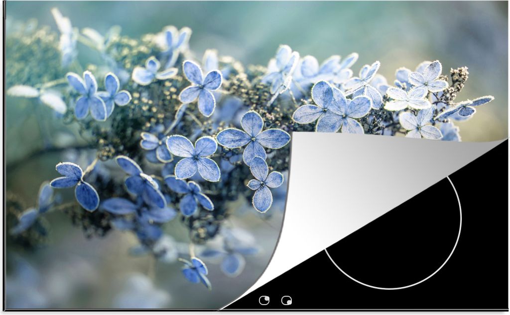 KitchenYeah Herdabdeckplatte Nahaufnahme einer gefrorenen Hortensie , 78x52cm, Küche Deko, Glaskeramikkochfeld Herdabdeckung, Abdeckplatte fùr ...