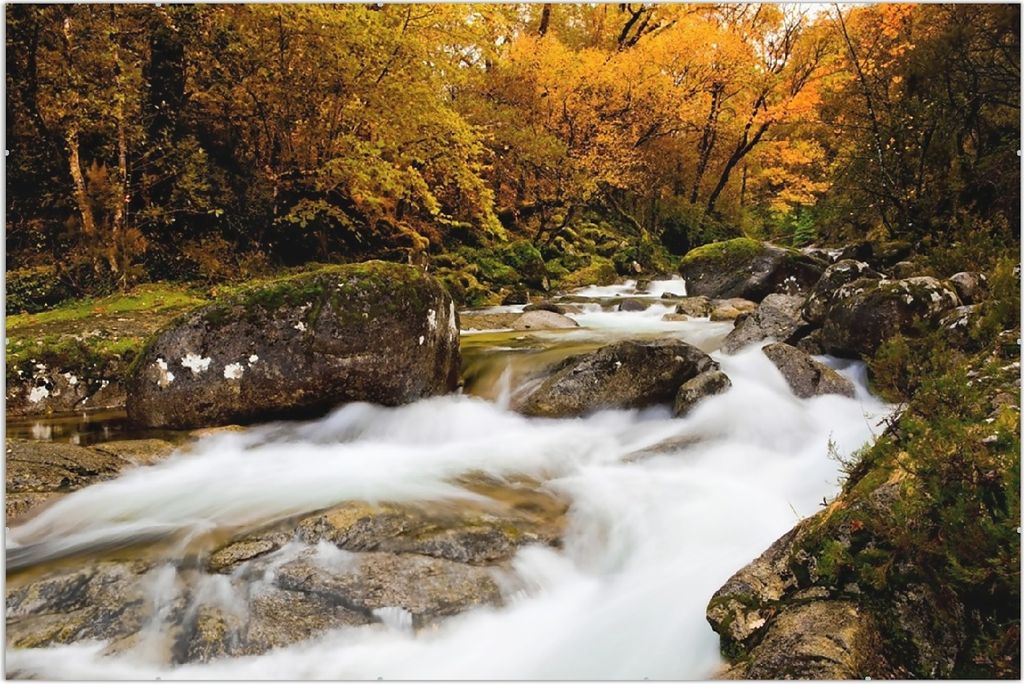 Wallario Wandbild Fließender Bach im Herbstwald, Größe: 61 x 91,5 cm, Poster mit rahmenlosen Bildhalter