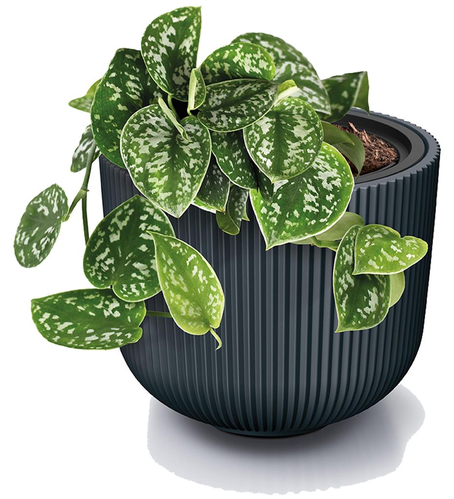 Prosperplast Blumentopf Übertopf Milly herausnehmbar Produktbild 