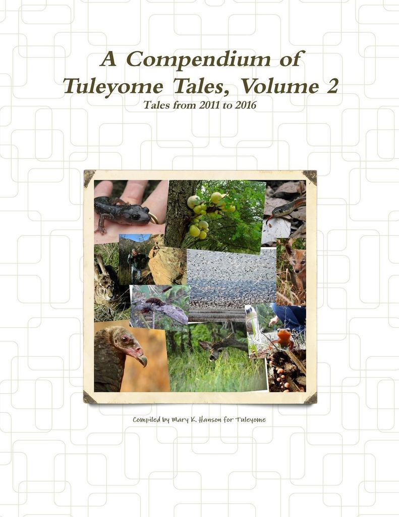 A Compendium of Tuleyome Tales, Volume 2
