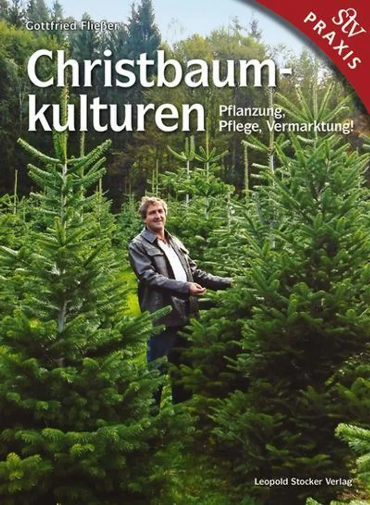 Christbaumkulturen Support Sapin de Noël Stable et Robuste en Acier Vert