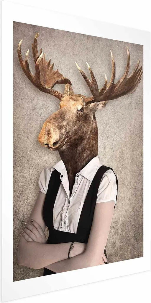 Poster dell'alce 60x90 cm senza cornice con margine