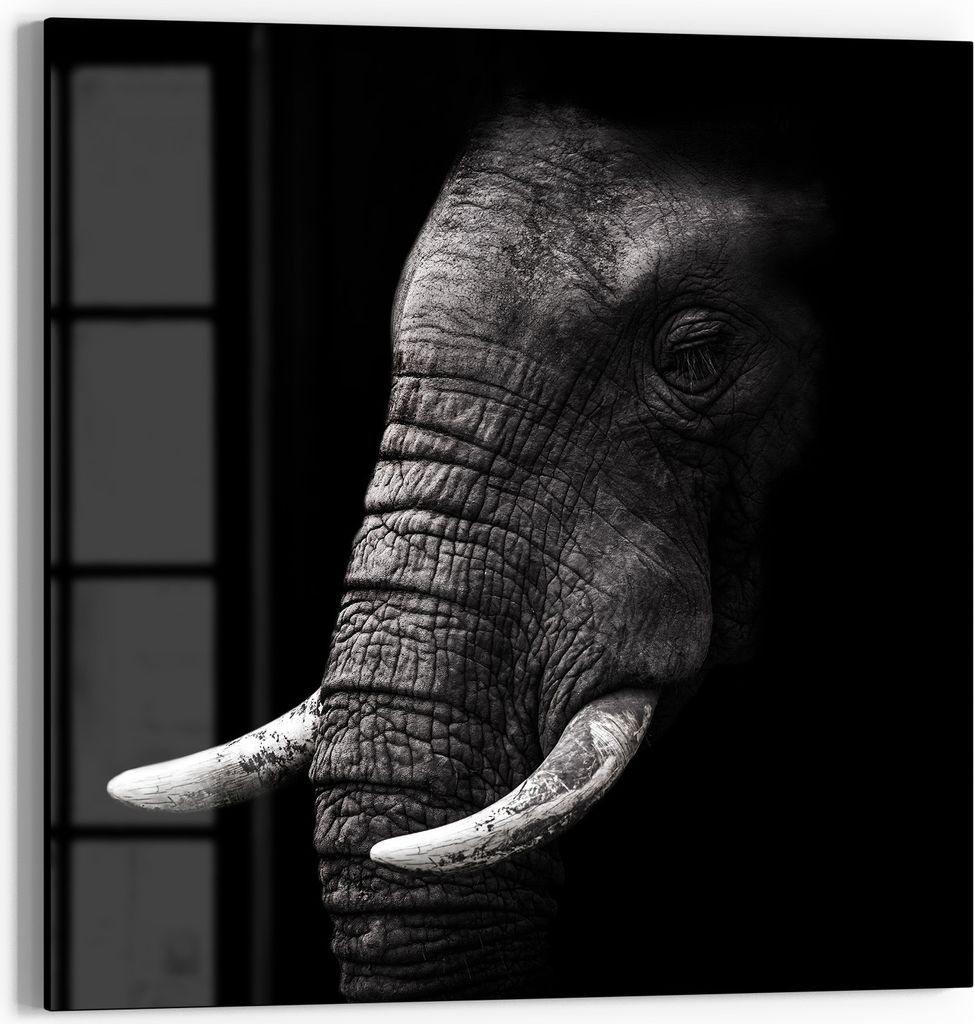 DEQORI Glasbild Echtglas 50x50 cm 'Weisheit der Wildnis' Wandbild Bild modern Deko