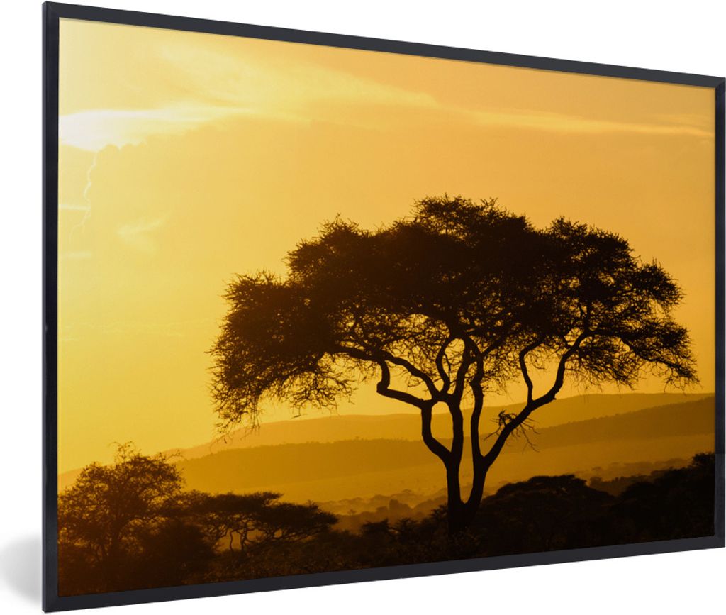 MuchoWow Gerahmtes Poster Gelber Himmel über dem Serengeti-Nationalpark in Tansania 30x20 cm - Poster mit Schwarzem Bilderrahmen Wandposter Rahm...