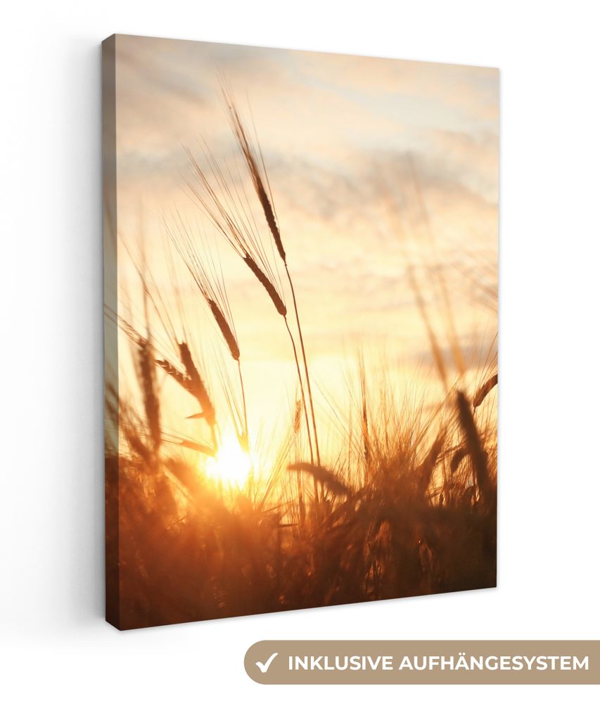 MuchoWow - Leinwandbilder - Schilf - Gras - Sonnenuntergang - Natur - Horizont, Wandbild, Wanddeko Bilder Wohnzimmer, 30x40 cm