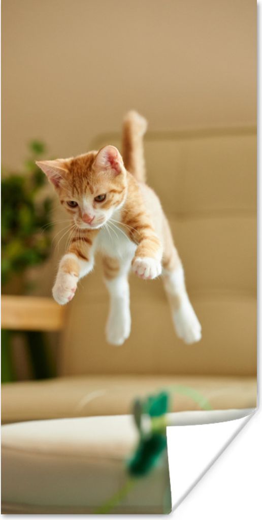 MuchoWow Poster Katze - Springen - Spielzeug 20x40 cm - Plakat - Foto