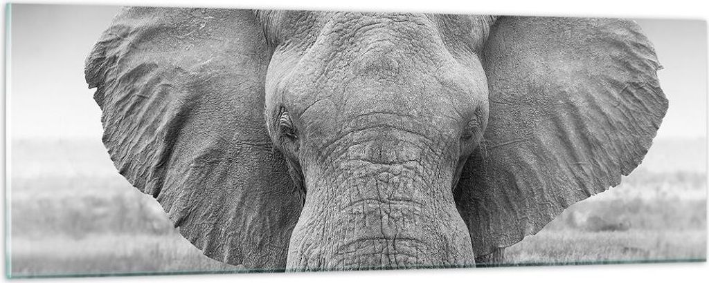 Bilder auf glas - Einteilig - Elefant Afrika Tier - 90x30cm - Glasbilder - Wandbilder - Bilder - zum Aufhängen bereit - Wanddekoration aus Glas - ...