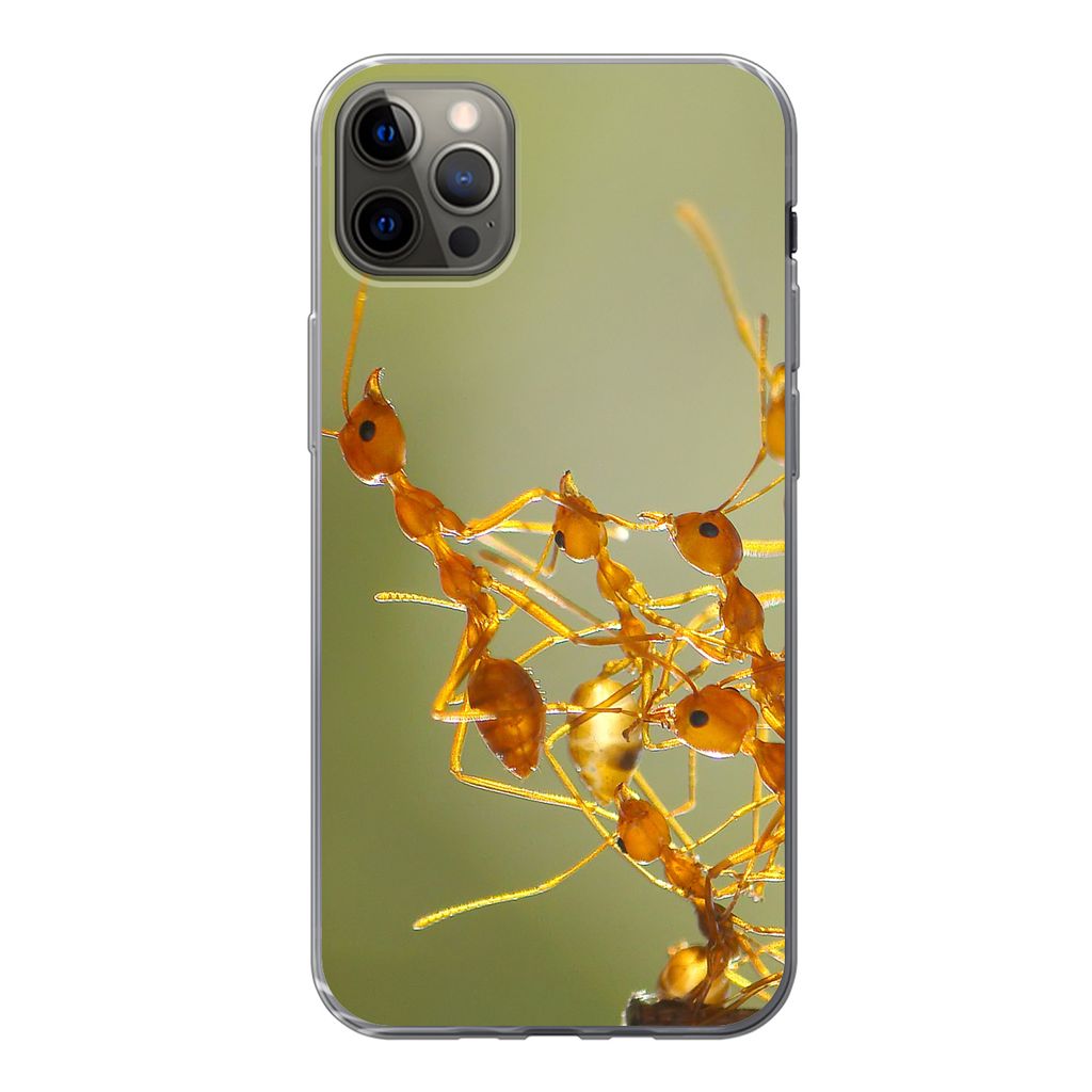MuchoWow Handyhülle Schutzhülle Hülle für iPhone 13 Pro Max Ameisen - Orange - Tiere Silikon Softcase Handy Hülle - Mobiltelefon