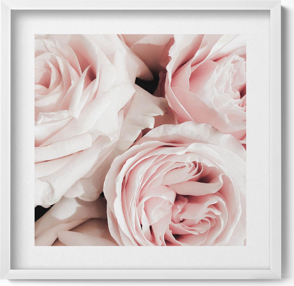 Zartrosa Blüten zarter Rosen– Wandbild mit Rahmen – Gerahmtes Bild – Wanddekoration – 50x50 cm – Weiß Rahmen