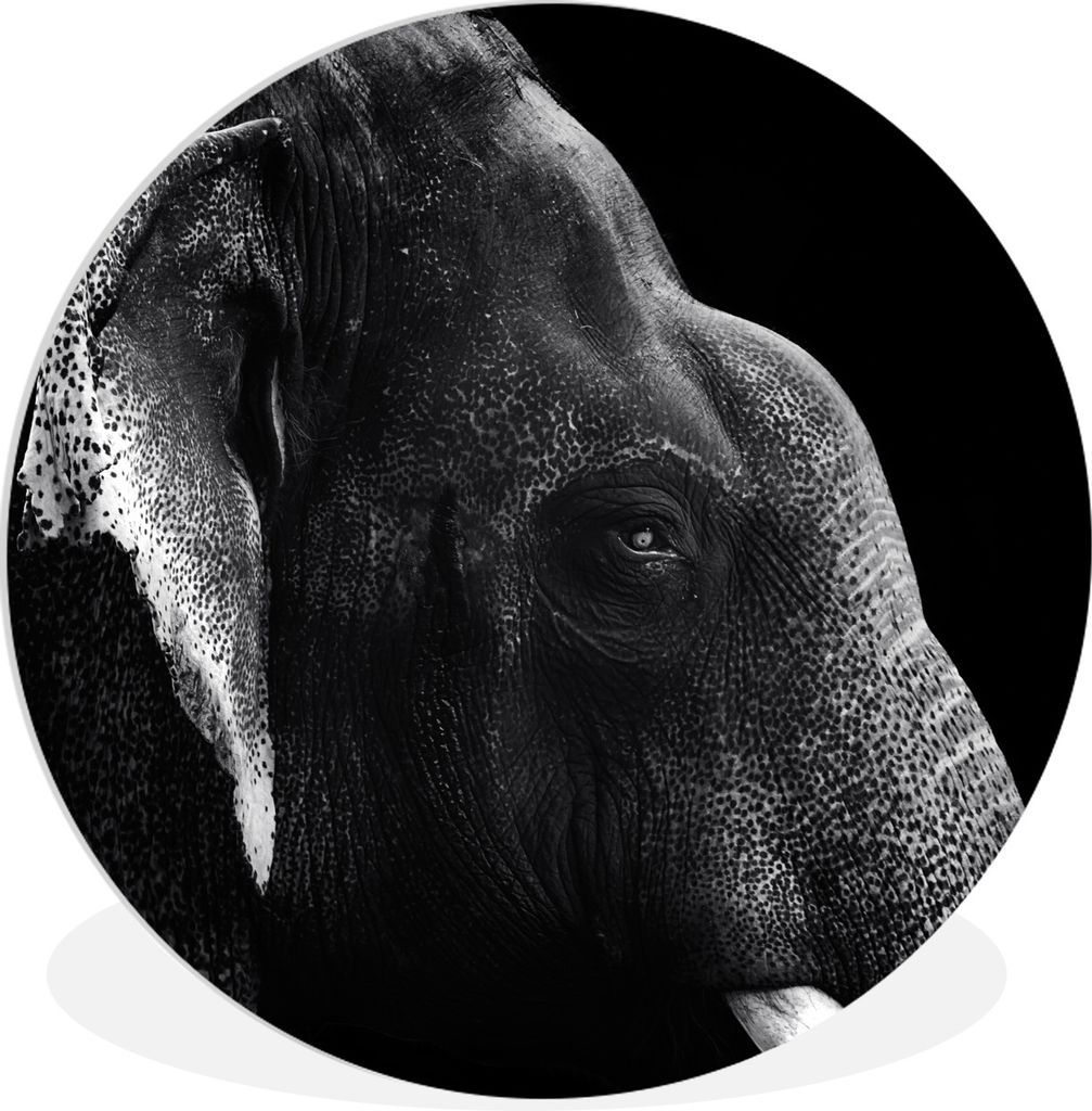 MuchoWow Rundes Wandbild - Runde Bilder Elefant auf schwarzem Hintergrund in schwarz und weiß Ø 30 cm Kreis Wanddekoration Kunststoff - Wandkre...