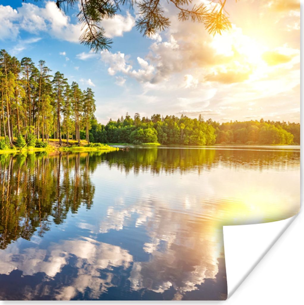 MuchoWow Poster Bäume - Wasser - Sonne 100x100 cm - Babyzimmer