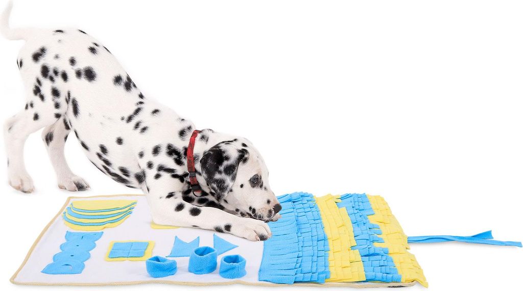 A Dalmatian dog is playing with a snuffle mat.