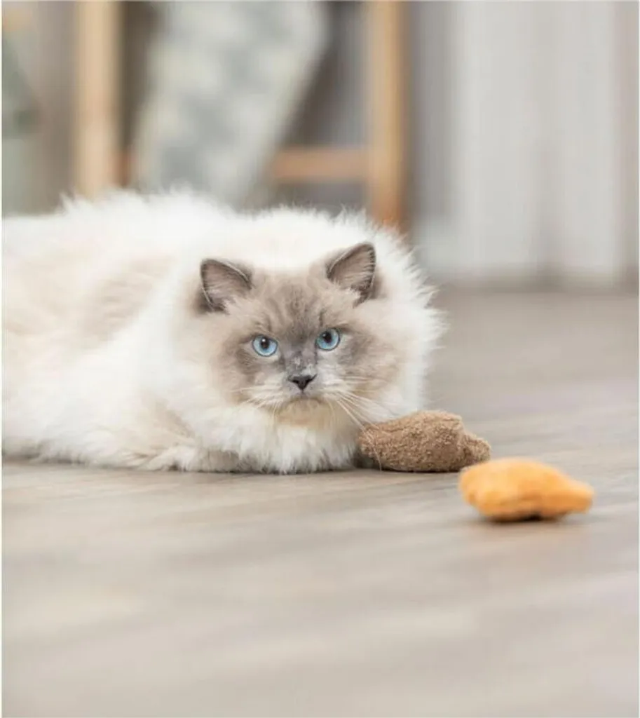 Stock Orsetti Peluche 8 cm | Prezzo Imbattibile per Rivenditori - 13