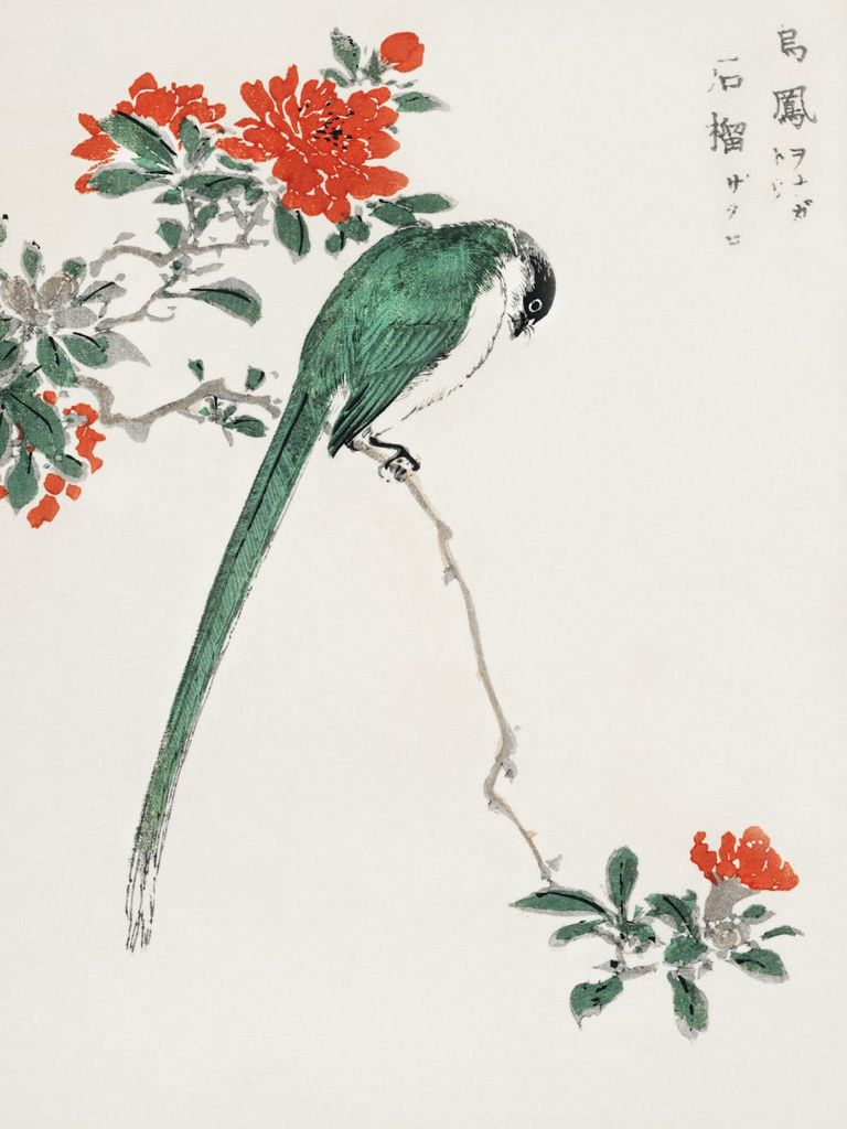 Plakat 60x80cm Japanischer Schopfmeise 2, Kashu Vintage für das Wohnzimmer