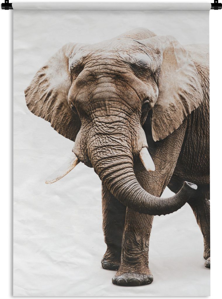 MuchoWow Wandteppich Wandbehang Elefant - Weiß - Tiere 90x135 cm Tapisserie Dekoration Wandtuch - Baumwolle - Wandskulptur