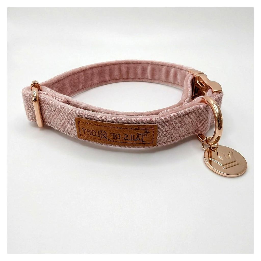 Hundespaziergang-Set 3-teilig – Verstellbares Halsband, 150 cm Leine, Kotbeutelspender – Englischer Tweed & Weicher Samt – Praktisch und Bequ...