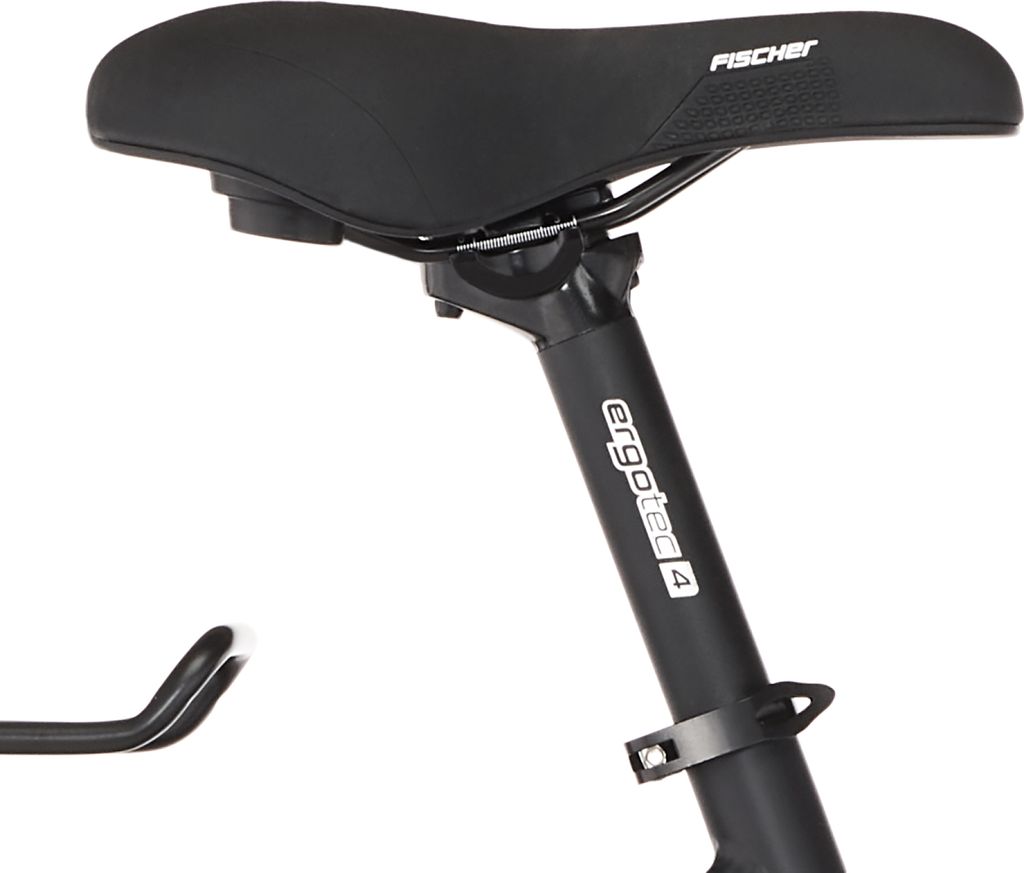 FISCHER E-Bike Pedelec ATB TERRA 5.0i Damen, Rahmenhöhe 44 Produktbild 6