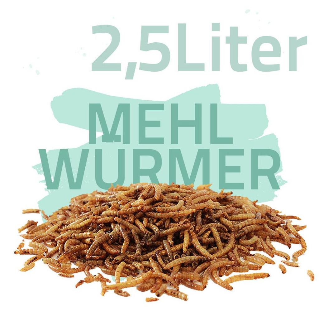 2,5 Liter Mehlwürmer getrocknet
