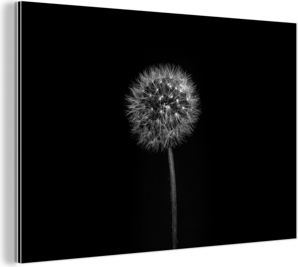 MuchoWow Wanddekoration Metall Metallbild Wandkunst 90x60 cm Löwenzahn - Schwarz - Floral - Botanisch MuchoWow Aluminium Gemälde - Wandbilder