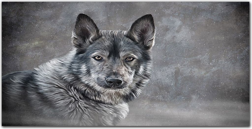 Coloray - Bild aus Glas - 120x60 cm - wanddekoration Küche glasblock mit bild Dekoration wohnzimmer gehärtetes Glas - Winter Schnee Wolf Haustier...