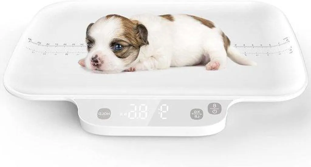 Pèse-animal numérique pour chat et chien - Capacité 15kg Précis