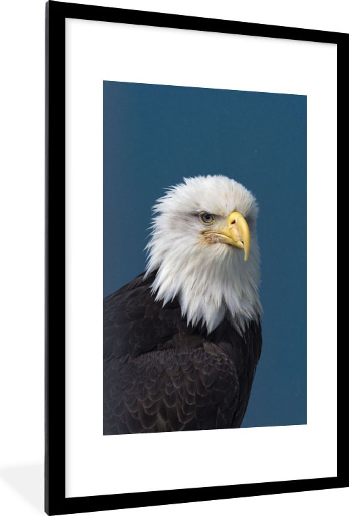 MuchoWow Gerahmtes Poster Ein Weißkopfseeadler in einem schönen hellblauen Himmel 60x90 cm - Poster mit Schwarzem Bilderrahmen Wandposter Rahme...