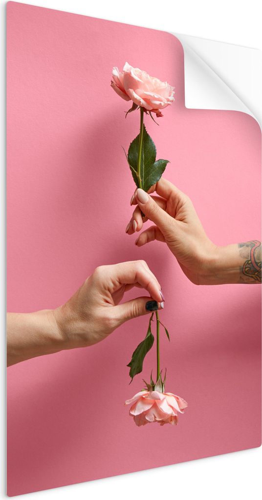 SpaceRebels Bilder Wandsticker 80x120 - Wanddeko Pflanzen Eucalyptus - Selbstklebende Wandtattoo Wandsticker - Modernes Bild auf PVC-Folie - Wandbi...