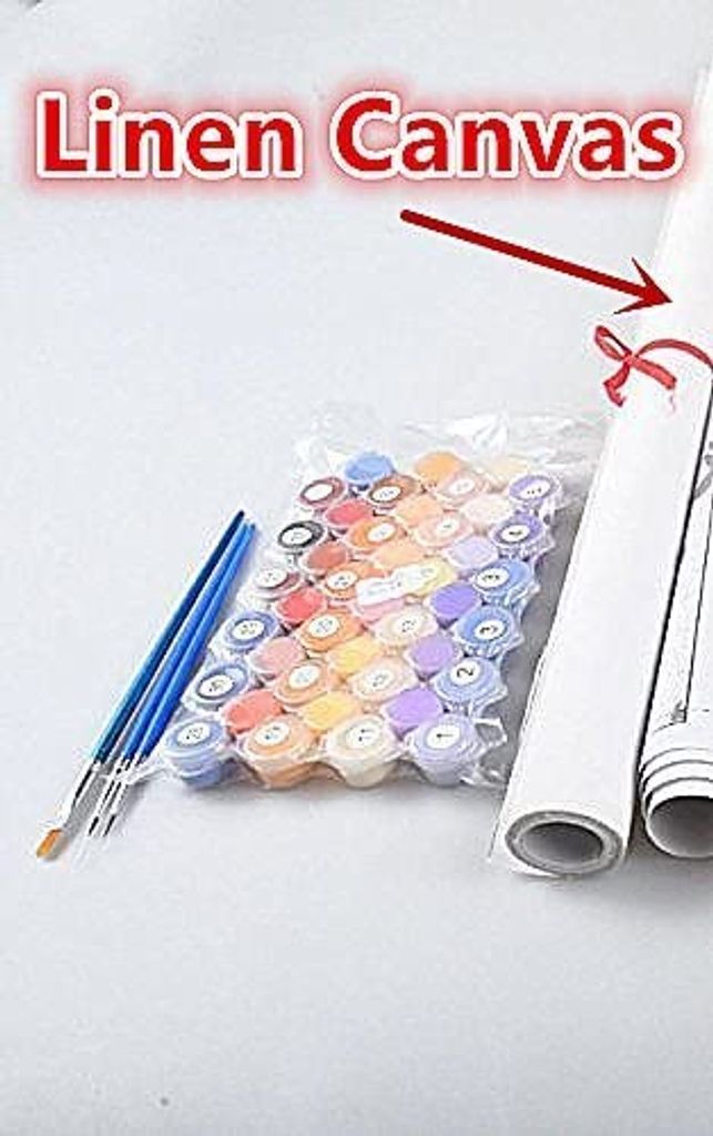 Malen Nach Zahlen Für Erwachsene & Kinder – DIY Ölgemälde Mit Rosa Pfingstrose (40,6 X 50,8 Cm)