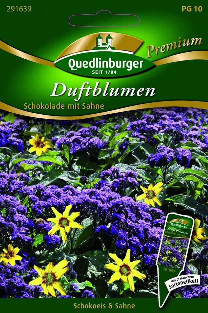 Quedlinburger Saatgut - Duftblumen Schokolade mit Sahne - Samen - 291639