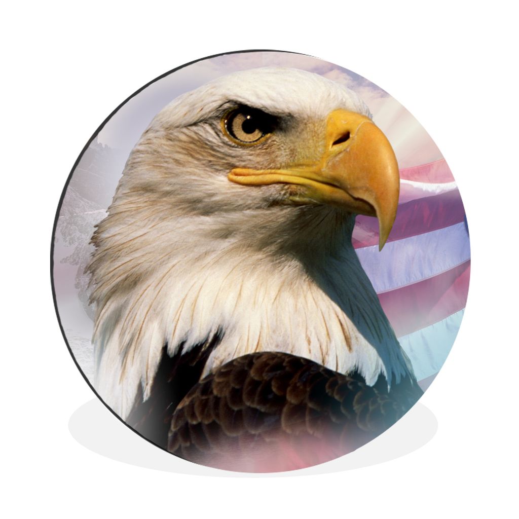 MuchoWow Aluminium Wandkreis Ein amerikanischer Weißkopfseeadler mit einer amerikanischen Flagge und Bergen Ø 30 cm Wanddeko Modern Wohnzimmer ...