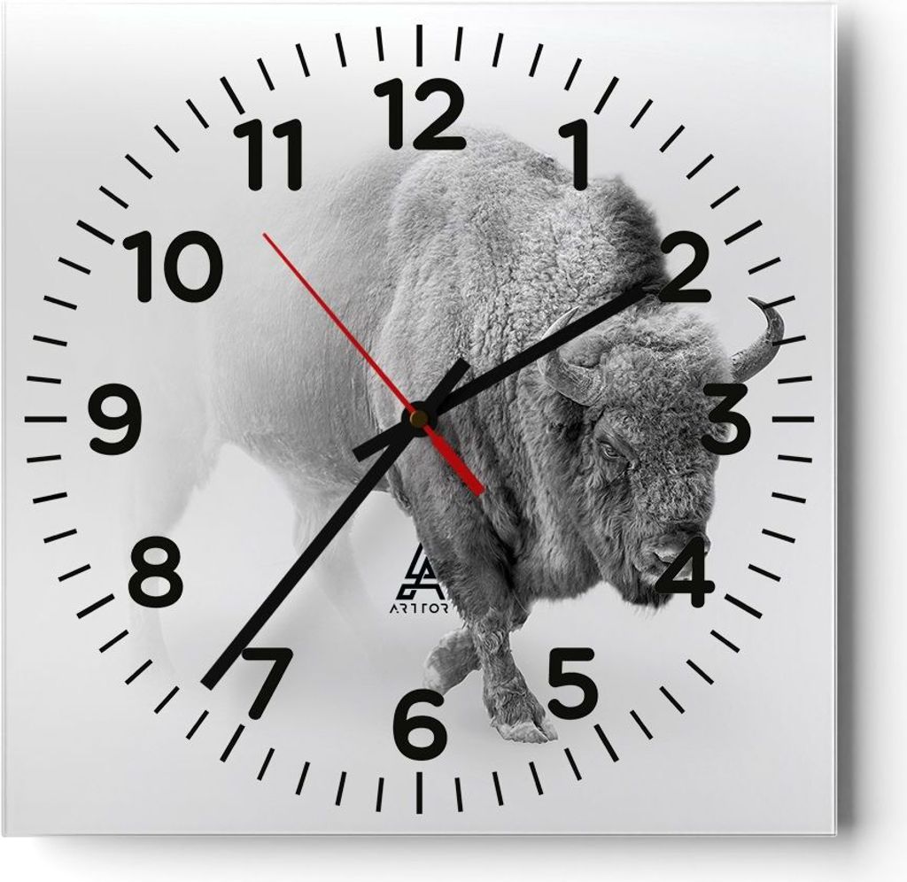 Wanduhr - Quadrat - Glasuhr - Wisent Schwarzweiß Licht - 40x40cm - Schleichendes Uhrwerk - Lautlos - zum Aufhängen bereit - Dekoration Modern - W...