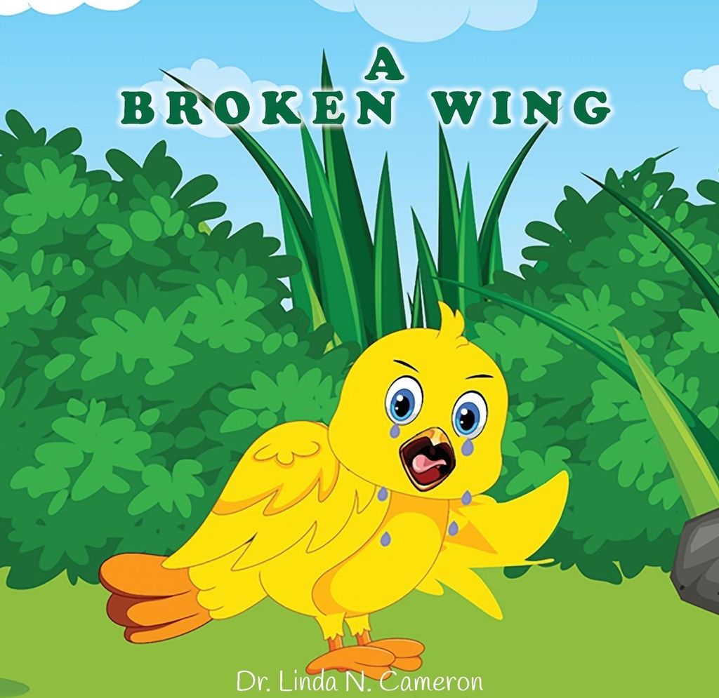 A Broken Wing