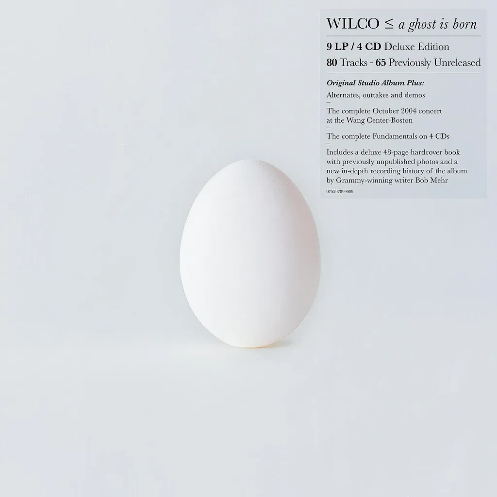 Vinyle Wilco A Ghost Is Born Deluxe Edition 20 ans Son Haute Qualité