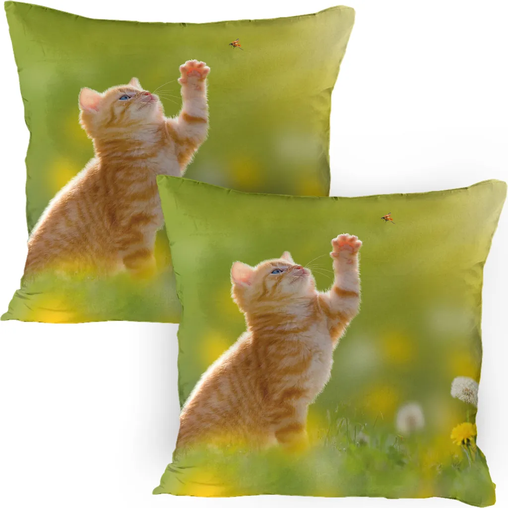 ABAKUHAUS Federa per cuscino con gatto, confezione da 2, grazioso gattino che caccia una coccinella, foto di erba naturale e denti di leone, federa decorativa stampata, 80x80 cm, giallo terra e verde chiaro