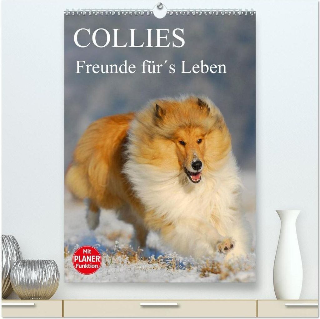 Collies - Freunde für ́s Leben (hochwertiger Premium Wandkalender 2026 DIN A2 hoch), Kunstdruck in Hochglanz