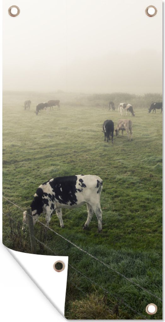 MuchoWow 80x160 cm Outdoor-Poster Gartendeko Sichtschutz Garten Poster für den Garten Kühe - Nebel - Friesland