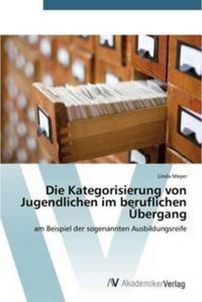 Die Kategorisierung von Jugendlichen im beruflichen Übergang