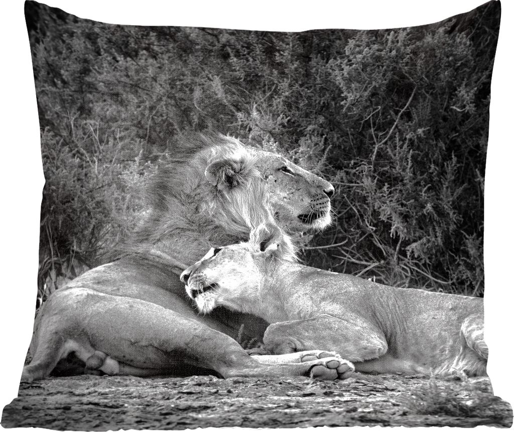 MuchoWow Zierkissen Sofakissen Wohnzimmer Dekokissen 60x60 cm Löwen - Schwarz - Wilde Tiere - Sitzfläche - Foto Polster