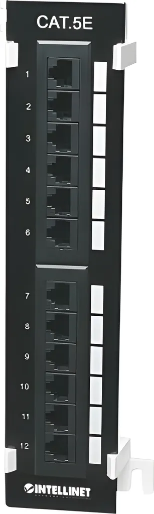 Panneau de Brassage Mural 12 Ports pour Réseau Domestique Cat5e Noir