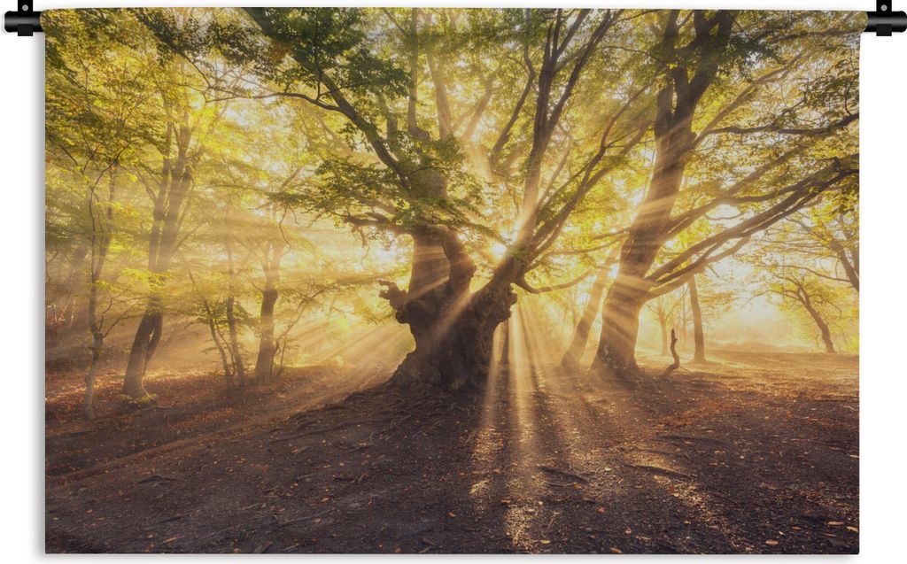 MuchoWow Wandteppich Wandbehang Baum - Wald - Sonne 120x80 cm Tapisserie Dekoration Wandtuch - Wanddekorationen - Wandtücher