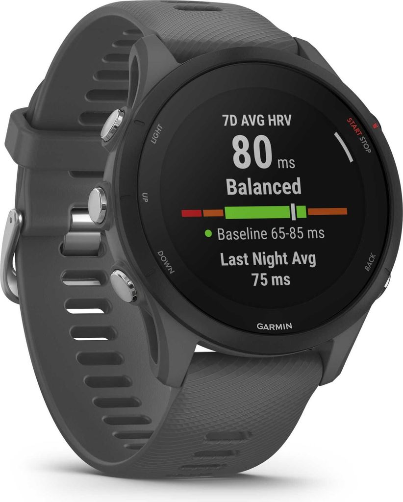 Garmin Forerunner 255 schiefergrau/schwarz Produktbild 