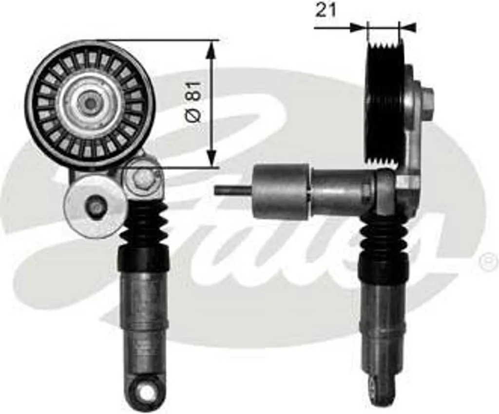 GATES T38306 Tendeur de courroie OE 038903315P pour Golf IV et Passat