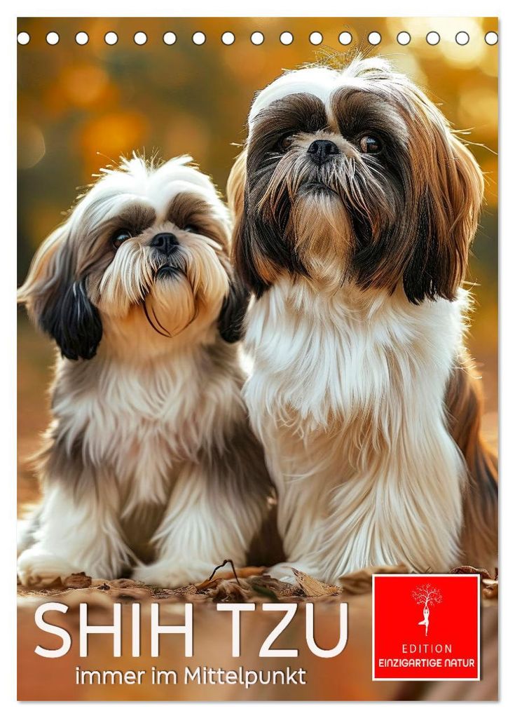 Shih Tzu - immer im Mittelpunkt (Tischkalender 2027 DIN A5 hoch), CALVENDO Monatskalender