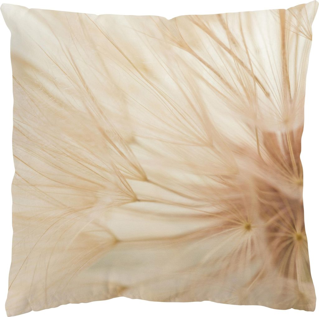 Dekokissen Blumen drinnen / Indoor Zierkissen Samt waschbar Pusteblume beige Landhaus Sofakissen ohne Füllung