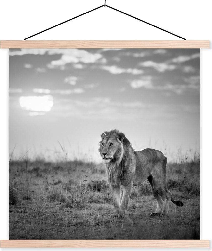 MuchoWow Textilposter Löwe - Sonnenuntergang - Jagd 60x60 cm mit holzfarbenen Rahmen - Wanddekoration