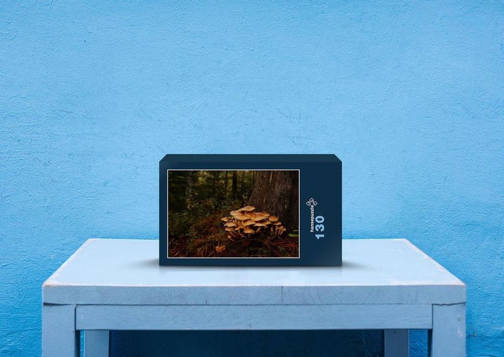 hansepuzzle 70313 - Pilze Puzzle, 130 Teile, Natur, 28,7 x 20,0cm mit hochwertiger Aufbewahrung, Kartonbox und wiederverschließbarem Beutel