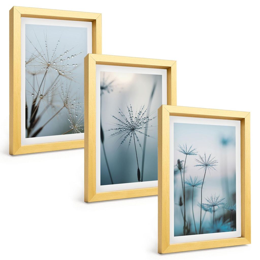 Bilder Set 3-teilig im Goldrahmen Rahmen – Wandbilder 3 Stück – gerahmte Poster für Wohnzimmer, Schlafzimmer und Flur – 20x30 cm – Löwen...