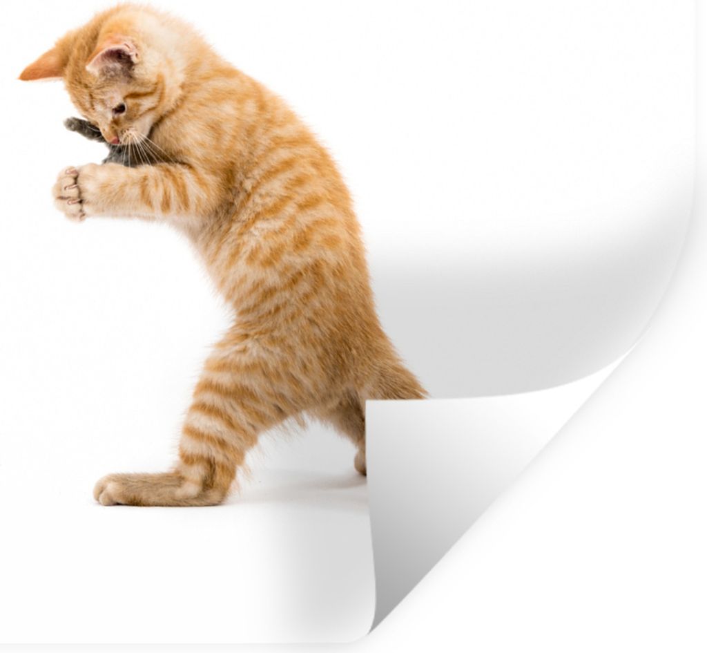 MuchoWow - Aufkleber