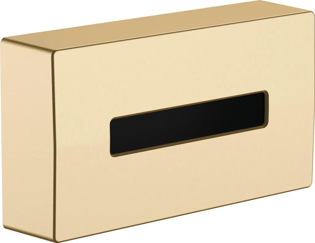 Hansgrohe AddStoris 41774140 Bronzo: Accessorio Bagno Spa-Grade